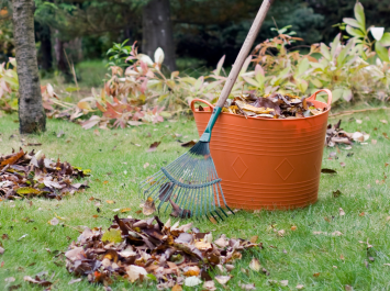 jardín en otoño